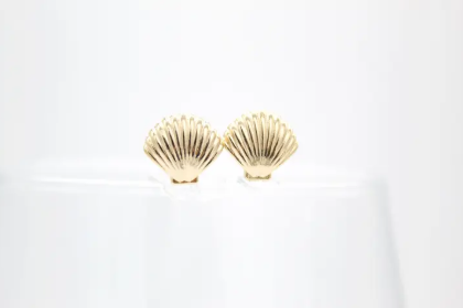 Daughter of the King Coastal Shell Studs